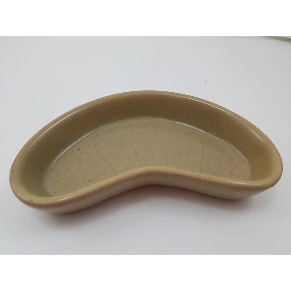 Reptile Small Hideaway and Three Feeding Food Feeding Dishes Pets Lizards